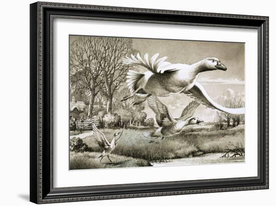 Geese Flying-Ronald Lampitt-Framed Giclee Print