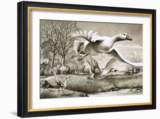Geese Flying-Ronald Lampitt-Framed Giclee Print