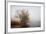 Geese in Fog. Flock of Birds Swims near Shore of River under Trees. Beautiful Spring Landscape in M-arvitalyaa-Framed Photographic Print