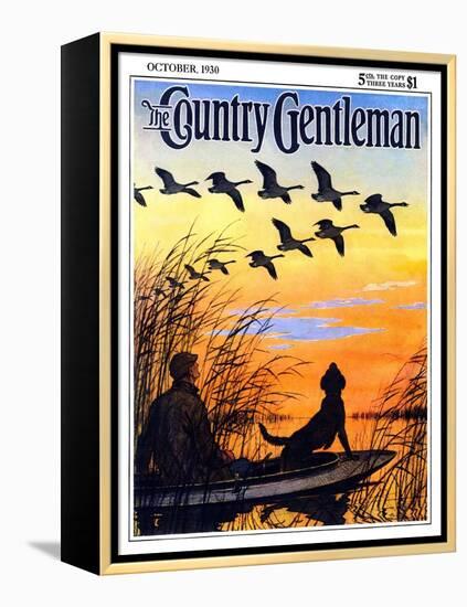 "Geese in Formation over Marsh," Country Gentleman Cover, October 1, 1930-Paul Bransom-Framed Premier Image Canvas