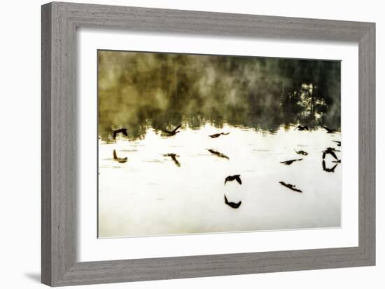 Geese on the Lake II-Alan Hausenflock-Framed Photographic Print