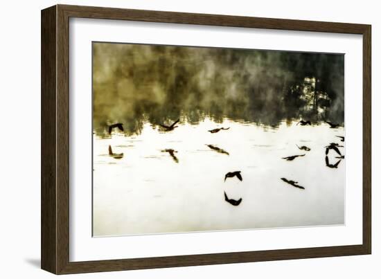 Geese on the Lake II-Alan Hausenflock-Framed Photographic Print