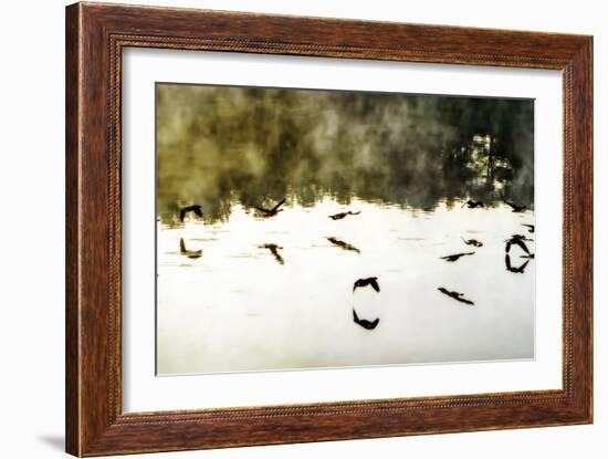 Geese on the Lake II-Alan Hausenflock-Framed Photographic Print