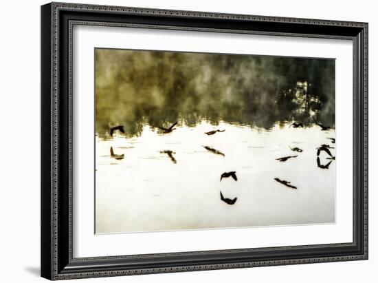 Geese on the Lake II-Alan Hausenflock-Framed Photographic Print