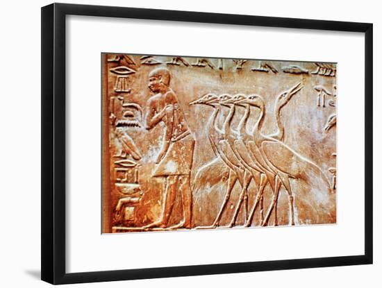 Geese, wall relief from the Tomb of Ptahhotep, Saqqara, Egypt, 24th century BC. Artist: Unknown-Unknown-Framed Giclee Print