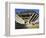 Geisel Library in University College San Diego, La Jolla, California, USA-Richard Cummins-Framed Photographic Print