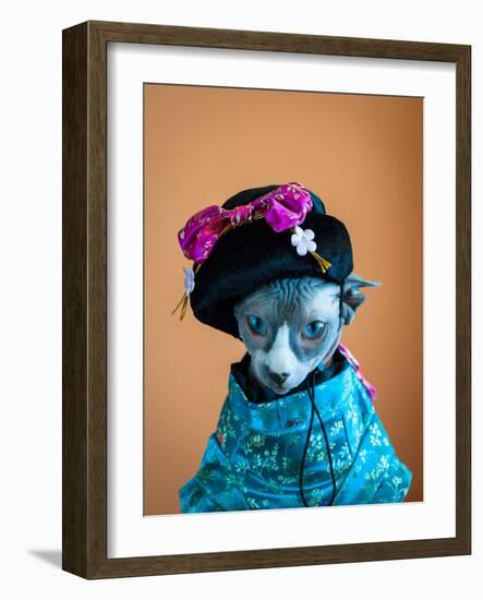 Geisha Cat-zinchik-Framed Photographic Print