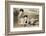 Geisha Girls at the Seaside, Japan-null-Framed Photographic Print