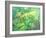 Gekko-William Ireland-Framed Giclee Print