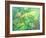 Gekko-William Ireland-Framed Giclee Print