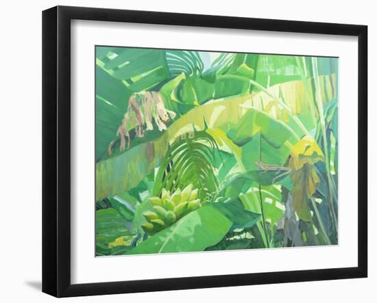 Gekko-William Ireland-Framed Giclee Print