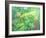 Gekko-William Ireland-Framed Giclee Print