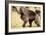 Gelada Baboon (Theropithecus Gelada) Endemic to Ethiopia, Simien National Park, Ethiopia-Elio Della Ferrera-Framed Photographic Print