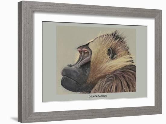 Gelada Baboon-Louis Agassiz Fuertes-Framed Art Print