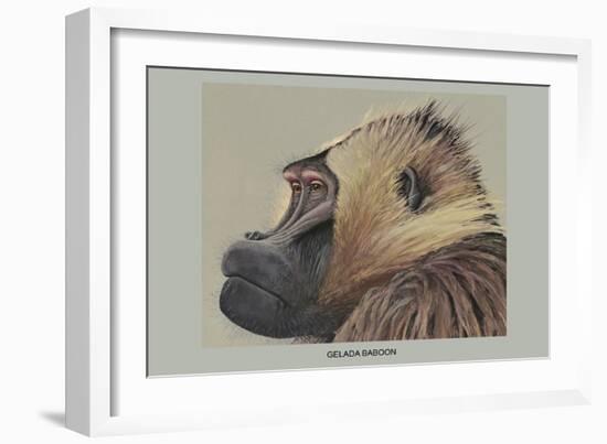 Gelada Baboon-Louis Agassiz Fuertes-Framed Art Print