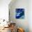 Gelbe Seerosen Und Agapanthes-Claude Monet-Mounted Art Print displayed on a wall