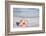 Gem of the Sea-Mary Lou Johnson-Framed Photo