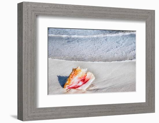 Gem of the Sea-Mary Lou Johnson-Framed Photo