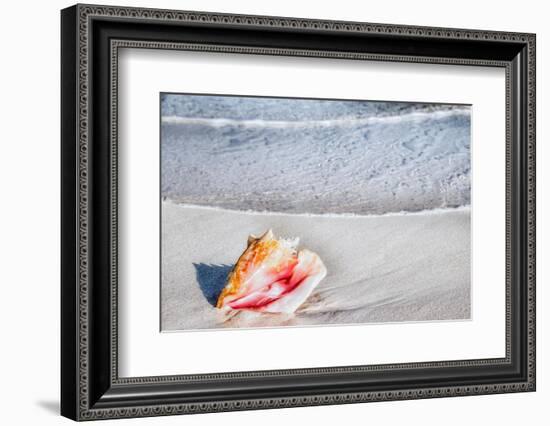 Gem of the Sea-Mary Lou Johnson-Framed Photo