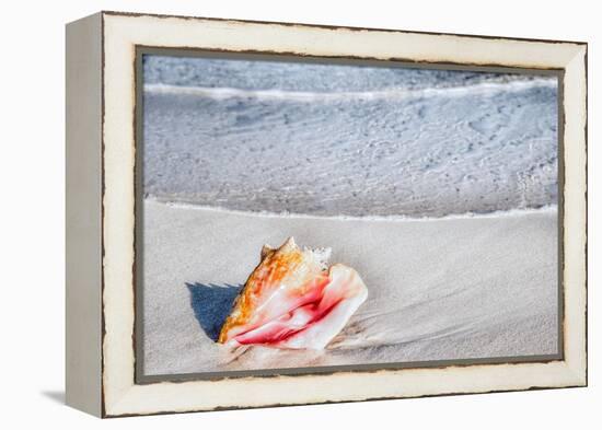 Gem of the Sea-Mary Lou Johnson-Framed Stretched Canvas