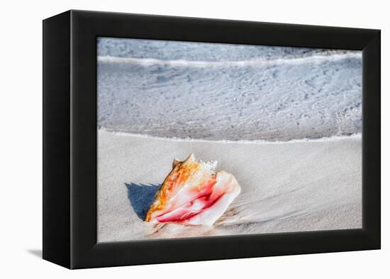 Gem of the Sea-Mary Lou Johnson-Framed Stretched Canvas