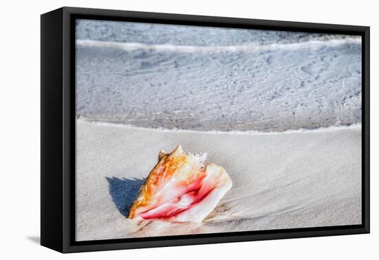 Gem of the Sea-Mary Lou Johnson-Framed Stretched Canvas