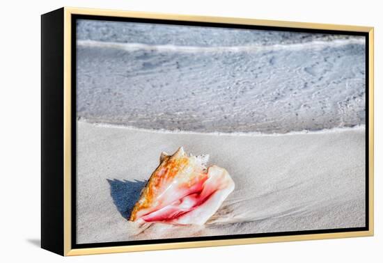 Gem of the Sea-Mary Lou Johnson-Framed Stretched Canvas