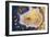 Gem Stone Agate-ELEN-Framed Photographic Print