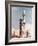 Gemini 12 Space Capsule-null-Framed Photographic Print