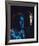 Gemini Man-null-Framed Photo