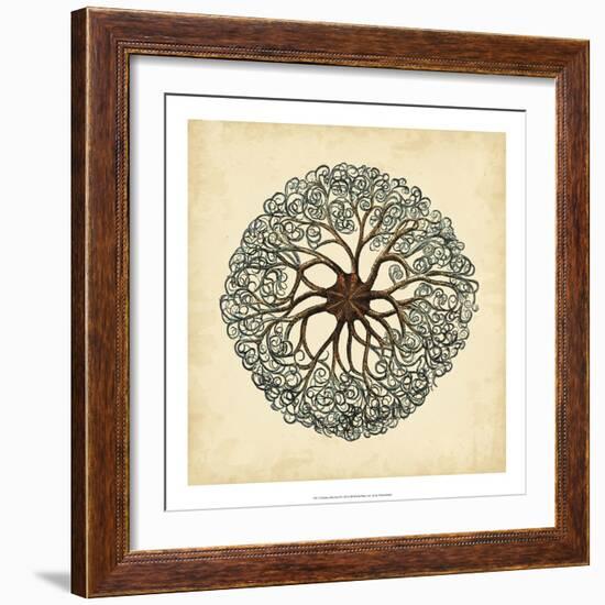 Gems of the Sea II-Vision Studio-Framed Art Print