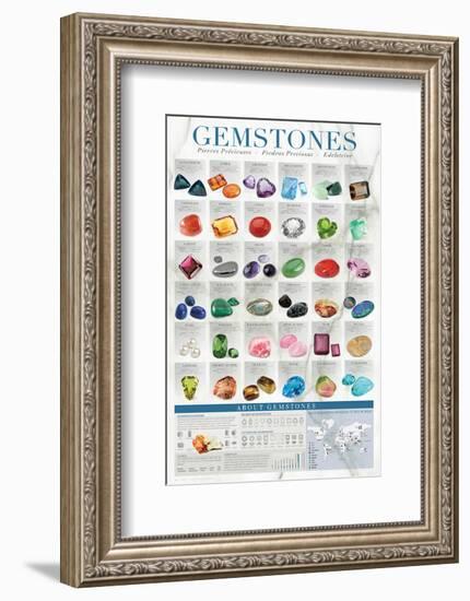 Gems-null-Framed Premium Giclee Print