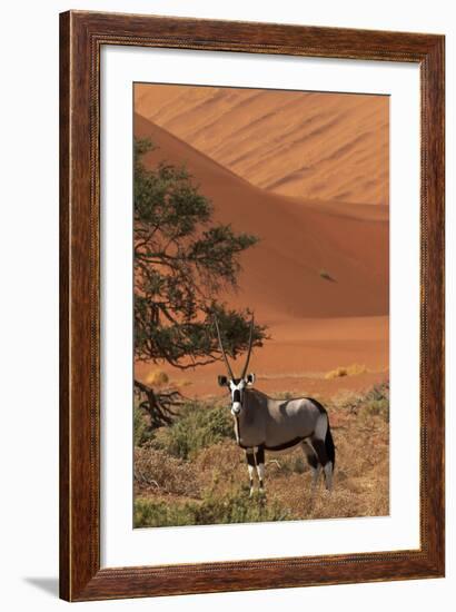 Gemsbok and Sand Dunes, Namib-Naukluft National Park, Namibia-David Wall-Framed Photographic Print