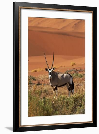 Gemsbok and Sand Dunes, Namib-Naukluft National Park, Namibia-David Wall-Framed Photographic Print