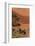 Gemsbok and Sand Dunes, Namib-Naukluft National Park, Namibia-David Wall-Framed Photographic Print