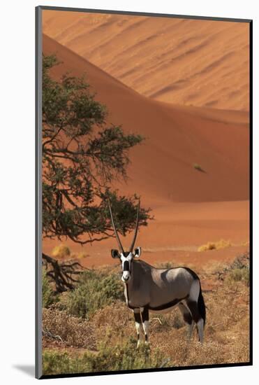 Gemsbok and Sand Dunes, Namib-Naukluft National Park, Namibia-David Wall-Mounted Photographic Print