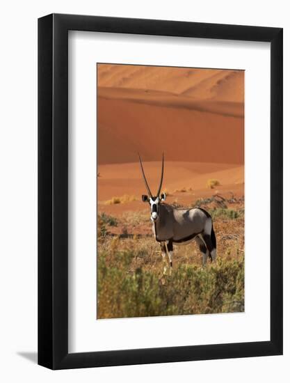 Gemsbok and Sand Dunes, Namib-Naukluft National Park, Namibia-David Wall-Framed Photographic Print