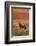 Gemsbok and Sand Dunes, Namib-Naukluft National Park, Namibia-David Wall-Framed Photographic Print