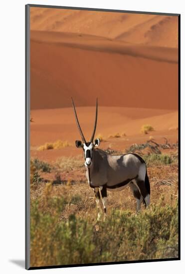 Gemsbok and Sand Dunes, Namib-Naukluft National Park, Namibia-David Wall-Mounted Photographic Print