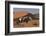 Gemsbok and Sand Dunes, Namib-Naukluft National Park, Namibia-David Wall-Framed Photographic Print