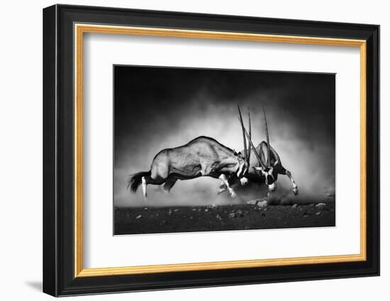 Gemsbok Dual (Artistic Processing)-Johan Swanepoel-Framed Photographic Print