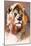 Gemsbok Lion, 2020, (pastel)-Mark Adlington-Mounted Giclee Print