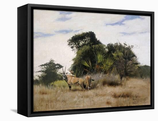 Gemsbok Oryx, 1891-Wilhelm Kuhnert-Framed Premier Image Canvas