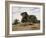 Gemsbok Oryx, 1891-Wilhelm Kuhnert-Framed Giclee Print