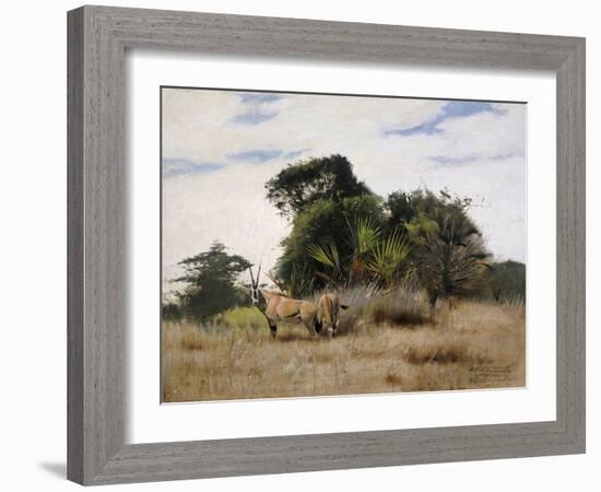 Gemsbok Oryx, 1891-Wilhelm Kuhnert-Framed Giclee Print