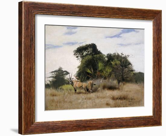 Gemsbok Oryx, 1891-Wilhelm Kuhnert-Framed Giclee Print