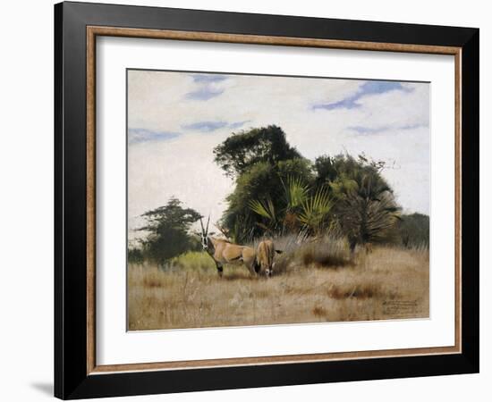 Gemsbok Oryx, 1891-Wilhelm Kuhnert-Framed Giclee Print