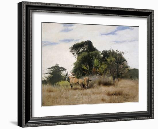 Gemsbok Oryx, 1891-Wilhelm Kuhnert-Framed Giclee Print