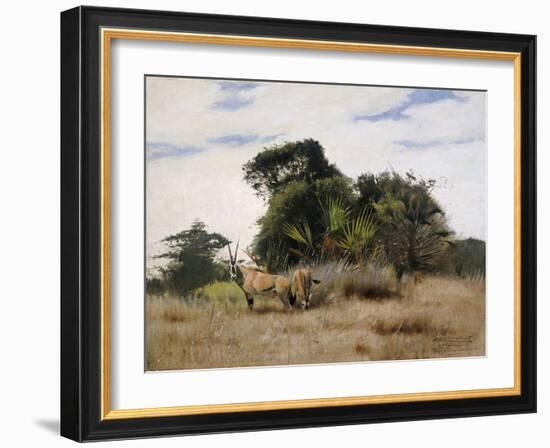 Gemsbok Oryx, 1891-Wilhelm Kuhnert-Framed Giclee Print