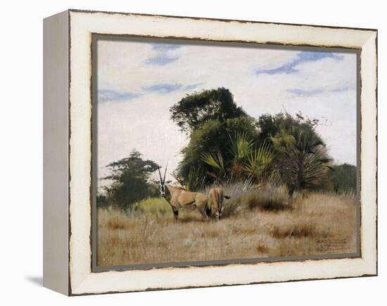 Gemsbok Oryx, 1891-Wilhelm Kuhnert-Framed Premier Image Canvas